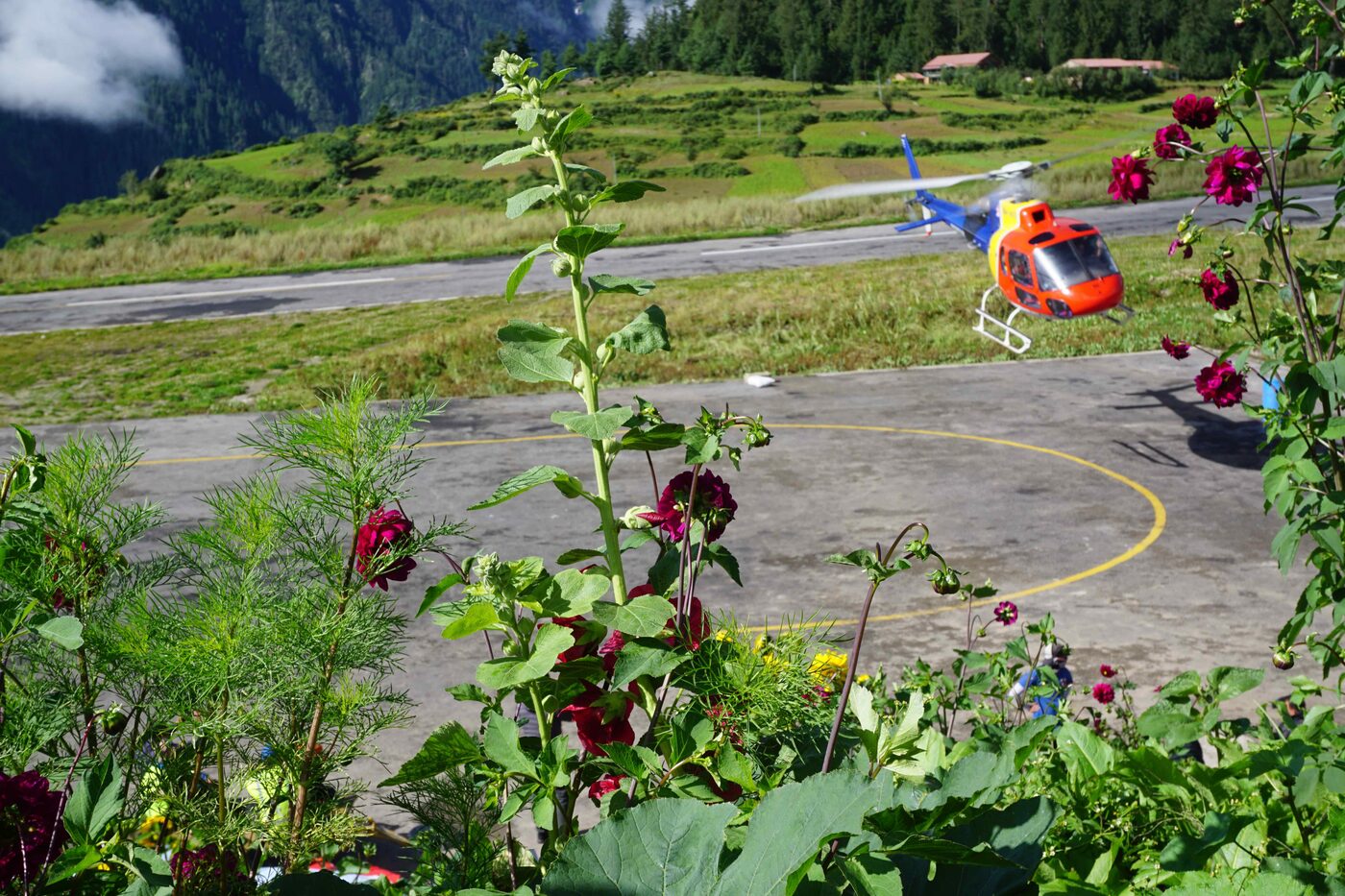 Nepalgunj – Simikot – Purang