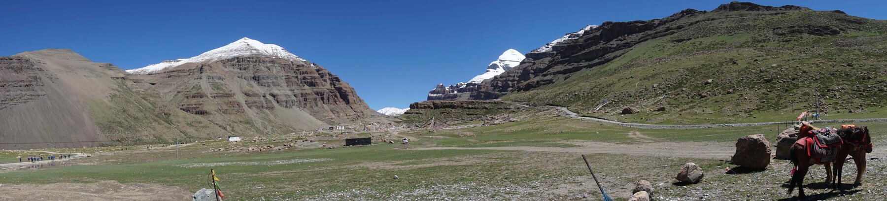 Panoramic view of Mount Kailash from Yamadwar, with a pony in the foreground